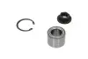 Подшипник ступицы (задней) Ford Fiesta 01-/Mazda 2 02-14 (29x53x37) (+ABS) PARTS KAVO WBK-4516 (фото 2)