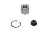 Подшипник ступицы (задней) Renault Kangoo 97- (25x55x43) PARTS KAVO WBK-6532 (фото 1)