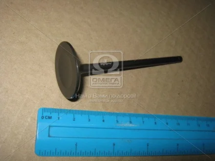 Впускний клапан (35x5,5x103,5) VOLVO C30, S40 II, S80 II, V50, V70 III FORD C-MAX, FIESTA V, FOCUS C-MAX, FOCUS II, GALAXY II, GALAXY MK II, MAVERICK, MONDEO III, MONDEO IV, S-MAX 2.0-2.3 10.00- KOLBENSCHMIDT 181108