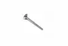 Клапан выпускной EX VAG BCA/BLP/ARC/BLF/BKG/BBY/AJV/BLG/ATN/CAVA/CAXA/CAXC 26X6X100.6 (выр-во KS) KOLBENSCHMIDT 39523 (фото 1)