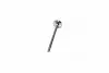 Клапан выпускной EX VAG BCA/BLP/ARC/BLF/BKG/BBY/AJV/BLG/ATN/CAVA/CAXA/CAXC 26X6X100.6 (выр-во KS) KOLBENSCHMIDT 39523 (фото 2)