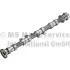 Розподілвал FORD 1.6 Ecoboost \&#039;\&#039;10-19 IN KOLBENSCHMIDT 50007925 (фото 1)