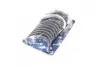 Вкладыши коренные HL OPEL20 DTL/DTH, 22 DTH/DTR (KS) KOLBENSCHMIDT 77527620 (фото 4)