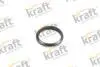 PierШcieф uszczelniajеcy KRAFT 0532540 (фото 1)