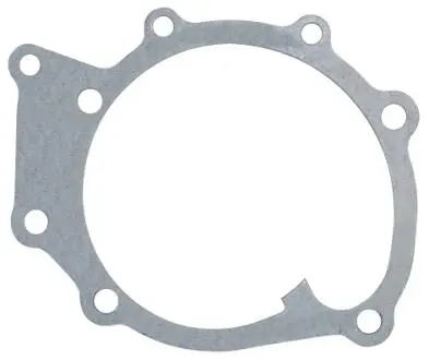 Прокладка водяної помпи LEMA 2427905