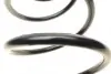 Пружина (передняя) Nissan Qashqai 1.5dCi/1.6dCi/2.0 07-14 (SUV) (type Qashqai+2) LESJOFORS 4062069 (фото 2)