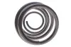 Пружина (передня) Opel Vectra C 1.6/1.8/16V 04-08 (№ шасі від 41048790-/48045598-/до -48045597) LESJOFORS 4063489 (фото 4)
