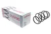 Пружина (передняя) Renault Koleos 2.0dCi 4x4 08- (SUV) LESJOFORS 4072989 (фото 1)