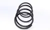 Пружина (передня) Toyota Rav4 II 2.0 4WD 00-05 (SUV) LESJOFORS 4092590 (фото 5)