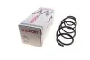 Пружина (передняя) VW Polo 1.4TDI 01-09 (осн. BlueMotion)/Fox 1.2/1.4 05-11 (нах.зад.часть)) LESJOFORS 4095087 (фото 1)