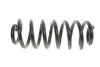 Пружина (задняя) BMW X5 (E53) 3.0d/3.0i/4.4i 01-06 (SUV) (без спорт.ходовой части)) LESJOFORS 4208457 (фото 1)