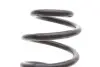 Пружина (задняя) Renault Megane II 1.4-2.0/1.5dCi/1.9dCi/2.0dCi 03-11 (универсал) LESJOFORS 4272922 (фото 2)