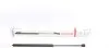 Амортизатор капоту MB C-class (W203/S203) 00-07/CLK (C209) 02-09 (L) (седан/унів.)(вишт.сила) 280N) LESJOFORS 8056807 (фото 1)