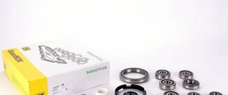 Набор подшипников коробки передач RENAULT LAGUNA/VEL SATIS/TRAFIC/MASTER 1,9-2,2 DCI 00- LuK 462023110