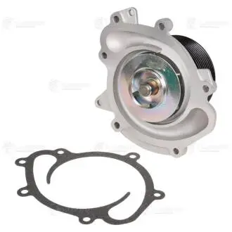 Насос водяной (+прокладка) Mercedes ML (W164) (05-)/S (W221) (05-) 3.0D (OM642) (8groove) (LWP 15323) Luzar LWP15323