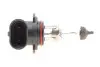 Автолампа HB4 12V 51W P22d Standard MAGNETI MARELLI 002577300000 (фото 4)