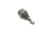 Опора шаровая (передняя/снизу)) MB E-class (W211)/S-class (W220) 98-12 MAGNETI MARELLI 301191618910 (фото 4)