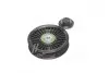 Ролик модуля натяжителя ремня MPQ0020 (Выр-во MagnetiMarelli) MAGNETI MARELLI 331316170020 (фото 2)