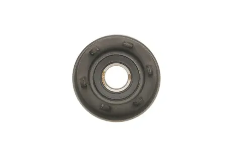 Ролик генератора Renault Clio III/Megane II//Scenic II 2.0 1.6V/1.9dCi 03- (натяжний) (65x30) MAGNETI MARELLI 331316170087