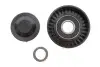 Ролик генератора Audi A4/A5/A6/A7/A8/VW Phaeton/Touareg 2.7D/3.0D/4.2D 03- (паразитний) (65x26.3) MAGNETI MARELLI 331316170595 (фото 1)