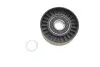 Ролик генератора Audi A4/A5/A6/Q7/VW Touareg 2.7-3,0TDI 03- (натяжной) MAGNETI MARELLI 331316170647 (фото 1)