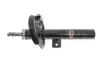 Амортизатор (передній) Ford Connect 02-13 (висока база) (R) MAGNETI MARELLI 352516070100 (фото 1)