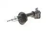 Амортизатор (задній) Land Rover Freelander 98-06 (L) MAGNETI MARELLI 357106070200 (фото 1)