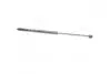 Амортизатор капота MERCEDES-BENZ (кор.код. GS0569) MAGNETI MARELLI 430719056900 (фото 1)