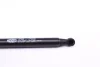 Амортизатор кришки багажника Renault Laguna III 07- MAGNETI MARELLI 430719069600 (фото 3)