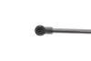 Амортизатор кришки багажника Seat Leon 05-12 (нах.зад.частина) (GS0833) MAGNETI MARELLI 430719083300 (фото 3)