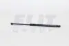 Амортизатор багажника MAGNETI MARELLI GS0415 (фото 1)