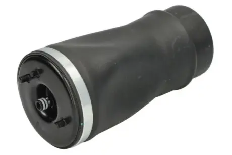 Пневмоподушка задн Прав BMW X5 (E53) 3.0-4.8 01.00-12.06 MAGNUM TECHNOLOGY MZB018MT