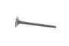 Клапан (впуск) MB OM 611-612 MAHLE MAHLE / KNECHT 001 VE 30532 000 (фото 3)