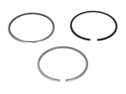 Кольца поршневые Fiat Doblo/ Opel Combo 1.3 JTD 04- (69.60mm/STD) (2-1.5-2) MAHLE MAHLE / KNECHT 010 04 N0