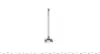 Клапан (выпуск) Renault Kangoo 1.5dc (29x6x100.7) MAHLE MAHLE / KNECHT 021 VA 31061 000 (фото 4)