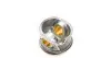Поршень VW Caddy/Crafter 2.0TDI 10- (81.01mm/STD) MAHLE MAHLE / KNECHT 028 PI 00116 000 (фото 7)