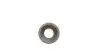 Поршень VW Caddy/Crafter 2.0TDI 10- (81.01mm/STD) MAHLE MAHLE / KNECHT 028 PI 00116 000 (фото 8)