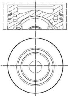 Поршень MAHLE / KNECHT 028 PI 00141 000