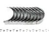 Вкладыши коренные VW T5/T6 1.9/2.0TDI 03- (STD) MAHLE MAHLE / KNECHT 029 HS 19911 000 (фото 2)