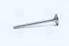 Клапан выпуск. Caddy III 1.4 i 04- MAHLE / KNECHT 029 VA 30529 100 (фото 3)