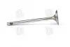 Клапан впуск. Caddy III 1.4 i 04- MAHLE / KNECHT 029 VE 30528 000 (фото 3)