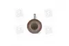 Клапан впуск. Caddy III 1.4 i 04- MAHLE / KNECHT 029 VE 30528 000 (фото 4)