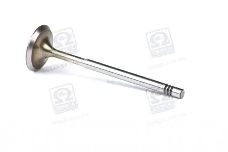 Клапан впуск. Caddy III 1.4 i 04- MAHLE / KNECHT 029 VE 30528 000