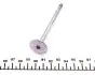 Клапан (впуск/випуск) BMW 3(E46)/5(E60)/6(E63) M47/M57 2.0/3.0D 99-10 (26x6x100) MAHLE MAHLE / KNECHT 081 VX 30895 100 (фото 3)