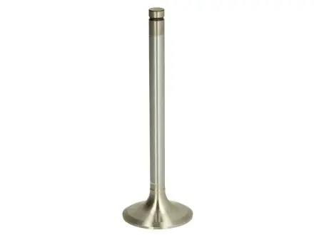 Впускной клапан RVI MIDR 06.02.26, DCi4/6 MAHLE / KNECHT 209 VE 31294 000