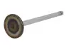 Клапан впускний DAF MX300 45.46x10.0x169.38 MAHLE / KNECHT 213 VE 31786 000 (фото 2)