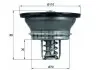 Термостат VOLVO/RVI MAHLE / KNECHT THD 3 82 (фото 2)