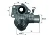 Термостат системы охлаждения MAHLE / KNECHT TI6385D (фото 1)