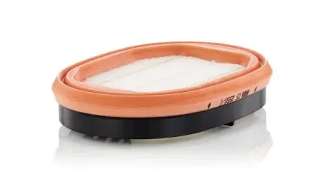 Фильтр дополнительного воздуха MANN CF25501
