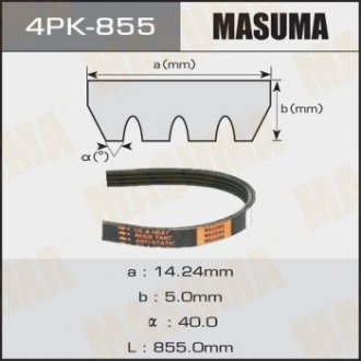 Ремінь поліклінової 4PK- 855 MASUMA 4PK855 (фото 1)
